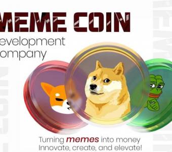 Why Is Meme Coin Development Important?