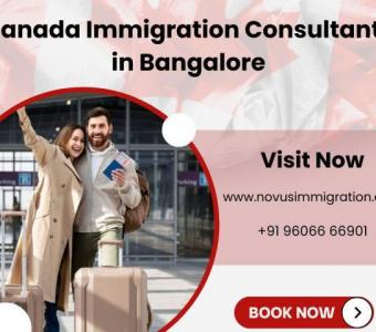 Novus Immigration: Your Trusted Partner in the Immigration Process