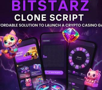 Bitstarz Clone Script- Affordable Solution To Launch a Bitstarz-like Crypto Casino