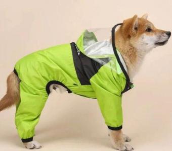 Pamper Your Pup: Stylish Dog Rain Hoodie