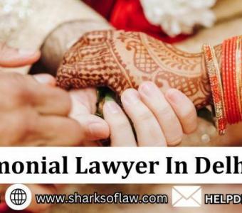 Best Matrimonial Lawyer In Delhi