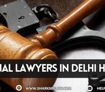 Criminal Lawyer In Delhi