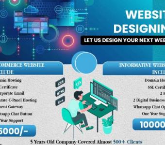 Website Designing Company In Laxmi Nagar