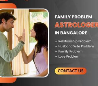 Best Family Problem Astrologer in Bangalore - Srisaibalajiastrocentre.in