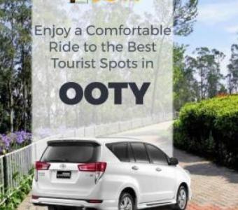 Ooty travels services