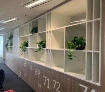 Office Plant Hire in Melbourne: A Guide to Finding the Perfect Fit