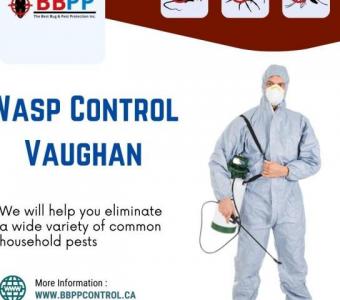 Safe & Effective Rat Control in Vaughan - B.B.P.P. PEST CONTROL