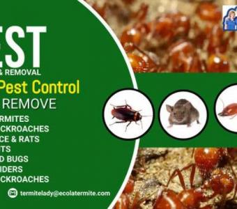 Providing Santa Maria residents with pest control services