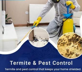 Best Termite & Pest Control Services | Safe and Effective