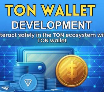 Why Should Businesses Create a TON Wallet?