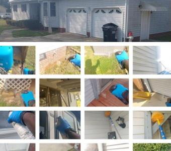 Premium Pest Control Services