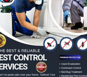 Premium Pest Control Services( Same-Day Service