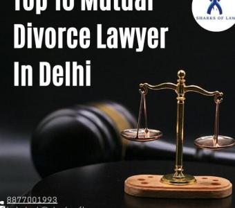 Mutual Divorce Lawyer In Delhi