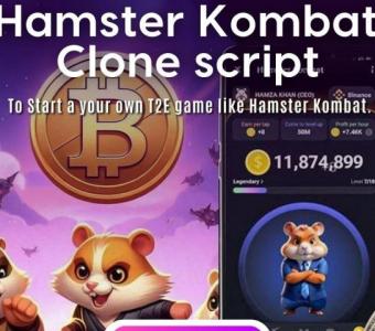 Budget-Friendly Solutions: Hamster Kombat Clone Script Launch