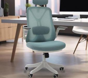 Shop Premium Ergonomic Office Chair