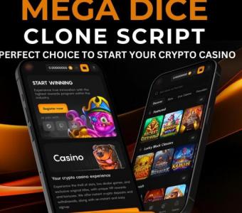 Mega Dice Clone Script - Perfect Choice To Start Your Crypto Casino Venture