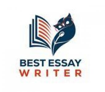 Best Essay Writer