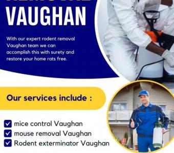 BBPP Pest Control - Expert Rodent Removal in Vaughan