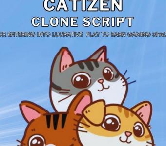 Launch your P2E Gaming platform with our catizen clone script