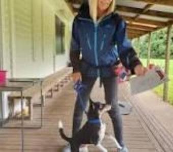 Dog trainer in phoenix az