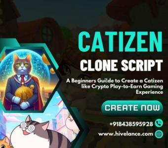 Catizen Clone Script- Affordable Solution to Build a P2E Game like Catizen