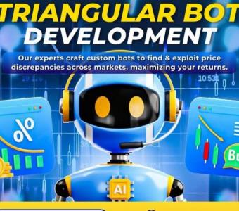 Customized Triangular Arbitrage Bot Development for Quick Profits