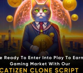 Build Your Telegram-based Play-To-Earn Game like Catizen