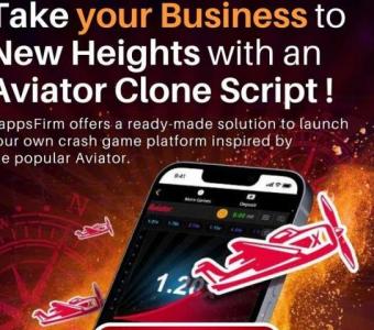 Sky High Earnings: Aviator Crash Game Script for Sale