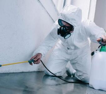 Affordable Services for Pest Control Werribee | Blink Pest Control