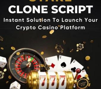 Stake clone script for building your high ROI crypto casino platform