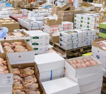 Wholesale halal frozen chicken in bulk online from brazil