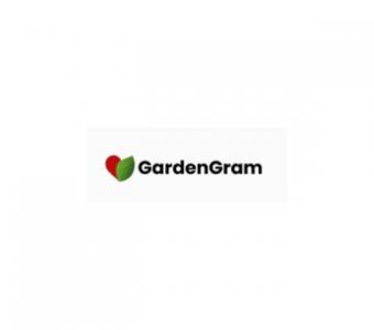 Indoor Plants Online Shopping - GardenGram