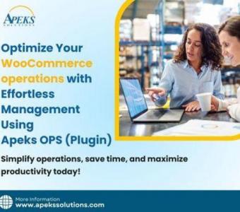 Simplify WooCommerce Operations with Apeks Ops: Your Ultimate Inventory Management Plugin