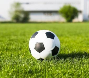 What Experts Say About the Best Sport Grass in Brisbane