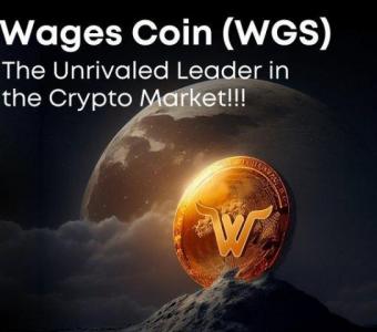 Empower Your Finances with Wages Coin