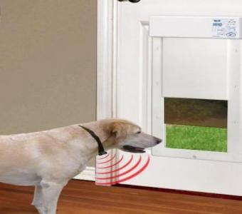 Elegant French Doors featuring an Integrated Dog Door for Both Pets and People