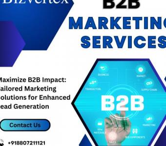 Maximize B2B Impact: Tailored Marketing Solutions for Enhanced Lead Generation