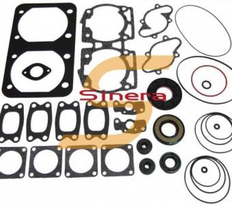 Complete Gasket Kit HS-711178C