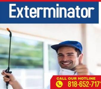 Expert Bed Bug Exterminator in Los Angeles - Fast, Effective & Eco-Friendly