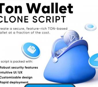 TON Wallet Clone Script: Your Path to a Successful Crypto Wallet