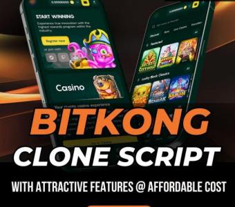 Speed Up Your Business Profit With Our Bitkong Clone Script Solutions