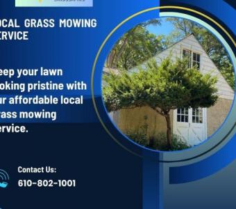 Affordable Local Grass Mowing Service - Expert Lawn Care for Your Home and Business