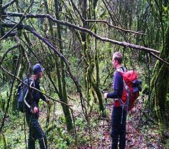 Rain Forest CUYABENO Lodges