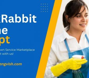 How to Choose the Best TaskRabbit Clone App?