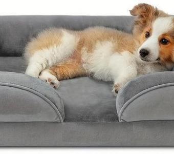 Luxurious Comfort for Your Pup: Introducing the Non-Chewable Dog Bed.