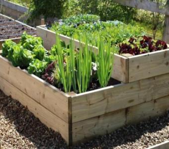 Programme Conception Potager | Logiciel Potager