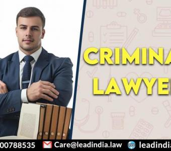 criminal lawyer