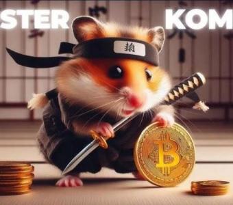 Hamster Kombat Clone Script  A Game That’s Breaking the Mold...!