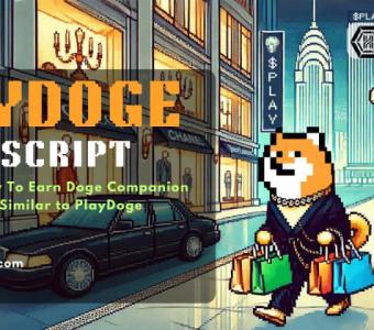 PlayDoge Get the Best PlayDoge Clone Script from Hivelance...!