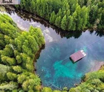 Get ready to experience the magic of Kitch-iti-kipi Springs!